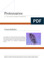 Protozoarios y Virus