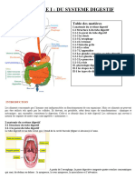 Cours Syst Digertifs Et Respiratoire Pour IUA DOUALA 2023-2024