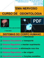 Sistema Nervoso - 28 ABR 2023