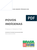 RELATÓRIO - FINAL GT Dos Povos Indígenas