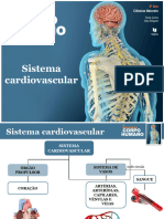 Sistema Cardiovascular