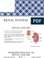 Renal System