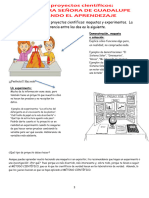 INVESTIGACION PROYECTOS 002 - Backup