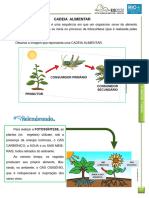 Cadeia Alimentar Texto e Atividades