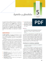 EPITELIOtexto Atlas de Histologia Leslie P. Gartner Optimizado (1) - Ocred