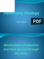 Veterinary Virology (Lecture 5)