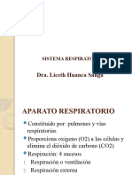 Sistema Respiratorio