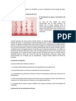 Explicaciones Juguetes Termicos