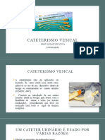 Aula 17 Cateterismo Vesical