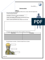 Nervous System Q. A Structures and Figures