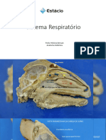 Sistema Respiratório