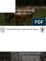 Ovulación Múltiple o Superovulación