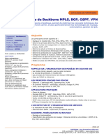 Operateurs de Backbone Mpls BGP Ospf VPN 1