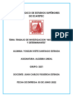 Trabajo de Investigación-Matriz Inversa y Determinantes YISE