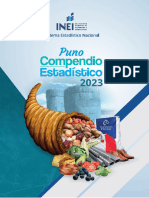 Compendio Estadistico Puno 2023