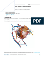 Lab Manual - Eye and Ear - English - Student - Fill in