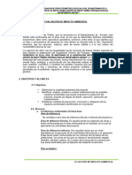 3.2. - Evaluación de Impacto Ambiental OK