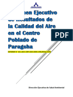 Informe #102 - Resumen Ejecutivo de Resultados Del Aire Paragsha.