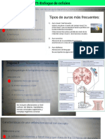 Pre Test-Neurología