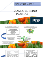 Repasamos El Reino Plantae