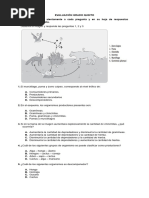 Evaluación Grado Quinto