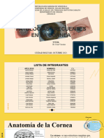 Patologia Corneal Seminario