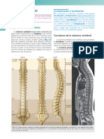 Columna Pro