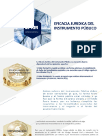 Eficacia Juridica Del Instrumento Público