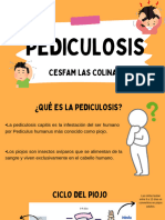 2 Pediculosis