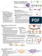 DNA To Cells