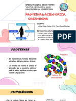 Adme de Proteínas, Ácido Úrico y Creatinina - Grupo 05 Obstetricia