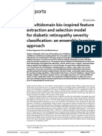 A Multidomain Bio Inspired Feature Extraction and Selection Model For Diabetic Retinopathy Severity Classification: An Ensemble Learning Approach