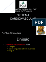 Sistema Cardiovascular