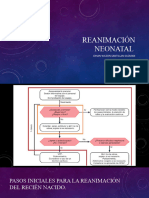 Reanimación Neonatal Expo Johan