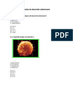 Prueba 3 de Desarrollo Embrionario