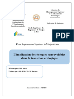 L'Implication Des Énergies Renouvelables Dans La Transition Écologique