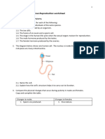 Grade 9 Human Reproduction Worksheet