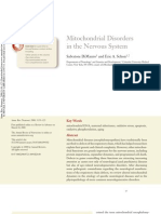 Mitochondrial Disorders in Neurons 2008