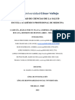 Tutoría Trabajo Final