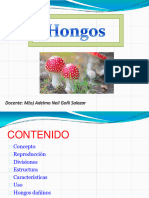 10 - Hongos