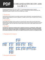 Plantilla Manual de Organizacion