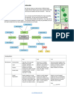 Create A Concept Map of Biomolecules