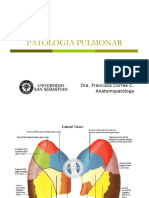 DMF III Unidad 1 - Clase 1 - Patologia Pulmonar (Pleura, Atelect, DAD, EBOC)