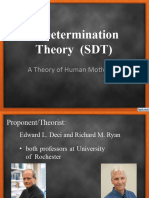 Self-Determination Theory