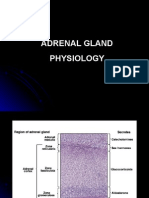 Adrenal Gland Physiology (DR