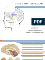 Unit2-Hypothalamus and Pituitary