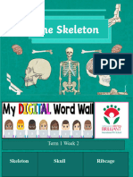 The Skeleton