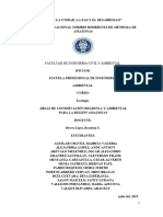 Amb. Grupo 2 - Áreas de Conservación Regional y Ambiental en Amazonas