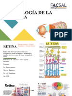 Fisiologia de La Retina