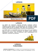 Lipidos